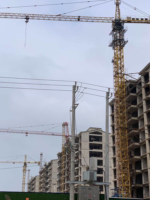 案例分析 裕鴻公司拖欠工程機(jī)械 塔吊 租賃費(fèi)哪個部門管